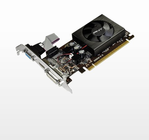 Tarjeta de Video PNY GeForce 210 - 1GB - 64bit - PCI-E 2.0 - DVI-I - HDMI -  VGA - VCGG2101D3X-PB/ESPPB